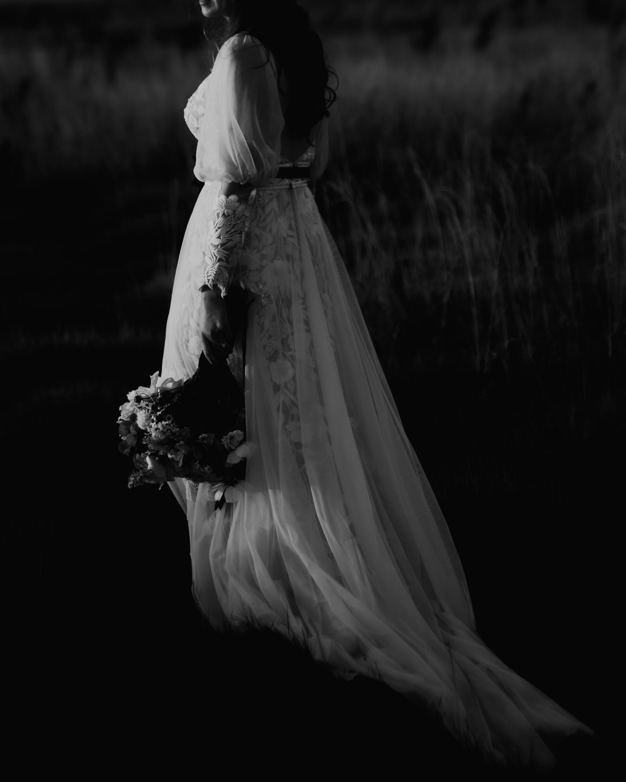 Wild Rose
